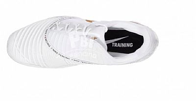 Fencing shoes Nike Balestra 2 WHITE SILVER